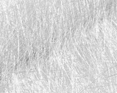 71SaO8BFWXS._SL500_